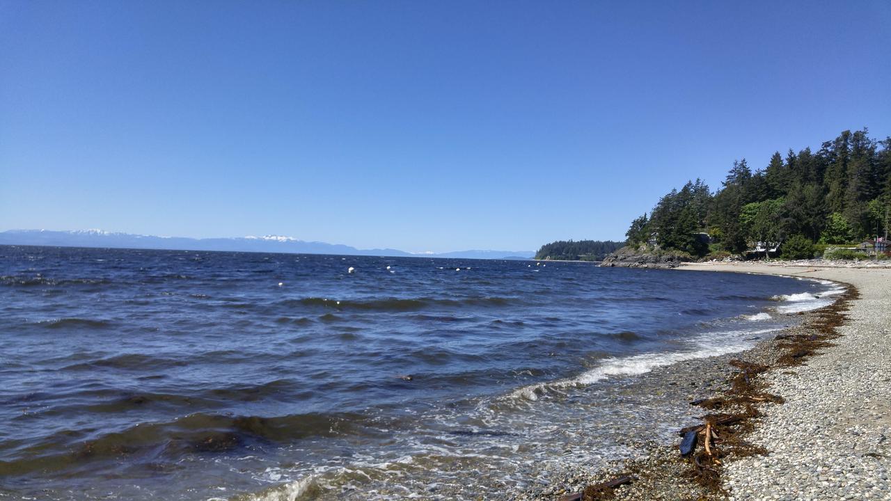 Sunshine Coast Treetop B&B Sechelt Exterior foto